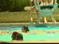 Campers Scramble For New Pool