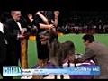 Scottish Deerhound: Westminster Dog Show Winner