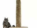 How To Make a Cat Scratching Post