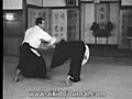 合気道師範の演武