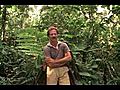 Werner Herzog on Nature