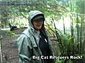 Ocelot Ear Surgery at Big Cat Rescue