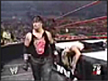 WWE Undertaker vs Jeff Hardy Ladder Match (Part II)
