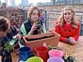 Get green-fingered kids