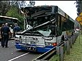 Tree Falls On City Bus; Leaves Bus Driver Injured