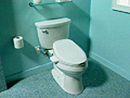 C3® Toilet Seat Cleanliness