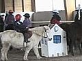 PONEY-CLUB DE LA CROUZETTE -Centres équestres équitation Marvejols 48100 Lozère