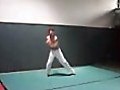 Capoeira *AIR-SPIN*-Move