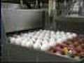 Egg Companies To Apologize For Outbreak