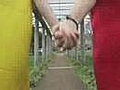 Ketchup & Mustard Love: Run