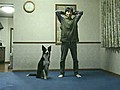 Dog and Owner Exercise