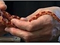 How to Decide if a Corn Snake is Right for You