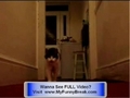 Extreme FUNNY - Talking Cat Videos - Talking Dogs