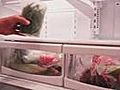 How to Store Foods in Your Refrigerator the Right Way