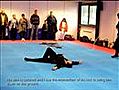 Kyoketsu Shoge Wapen : Koga Ryu Ninjutsu Groningen (Titus Jansen)