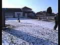 viona femelle berger malinois