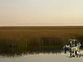 Royalty Free Stock Video HD Footage Fishermen and a Boat in the Everglades in Florida