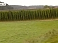Video of the Day   Germany’s green gold
