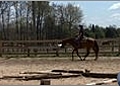 Horseback Riding - Canter