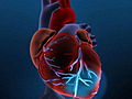 Diseases: Heart Attack Symptoms