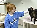 Girl Makes Difference For Animals In Need