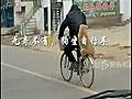 Dog Rides On Back Of Bike