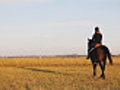 Horseback riding - training