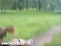 Chickies die vechten