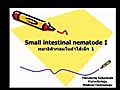 Small intestinal nematode I (Hookworm,  Strongyloides sterco