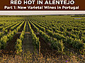 Red Hot Alentejo,  part 1: Portugal’s New Varietals