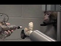 Monkey uses brainwaves to contol prosthetic arm