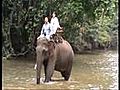 Thailand - Lahu Dorf und Ritt auf Elefanten