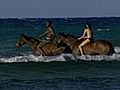 Horseback in Jamaica