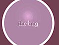 The Bug