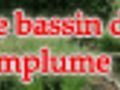 Le bassin de jardin de plumplume, ATB TV