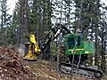 Timber Truce in the Rockies