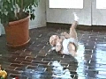 Baby Break Dance