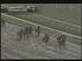 Hilarious Call To End Of Horse Race