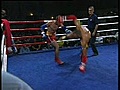 Free Fight Backstage, l&#039;emission des sports de combat
