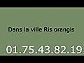 Plombier Ris orangis - 01.75.43.82.19