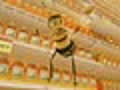 Preview: &#039;Bee Movie&#039;