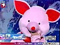 China’s Got Talent: pig-suit husband urges judges to give her a chance