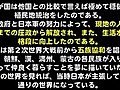 田母神論文抜粋＿読まれたし！