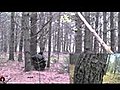 Woodsball RamboCam (POV) - The Hampden Paintball Club - Episode #4 - Narration