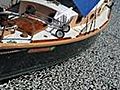 Millions Of Dead Sardines Found In California