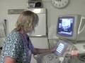 [Video] Ultra-sound as a screening tool for breast cancer not a stand-alone tool