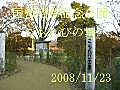 国営昭和記念公園．．．．こもれびの里