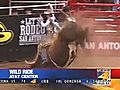 Wild Bull Ride at the San Antonio Rodeo