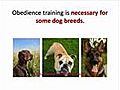 Puppy Obedience Training - How to Teach Your Puppy to Heel