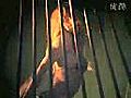 新届饶舌女王Trina联手Ebony Eyez火爆新单曲In Ya Face